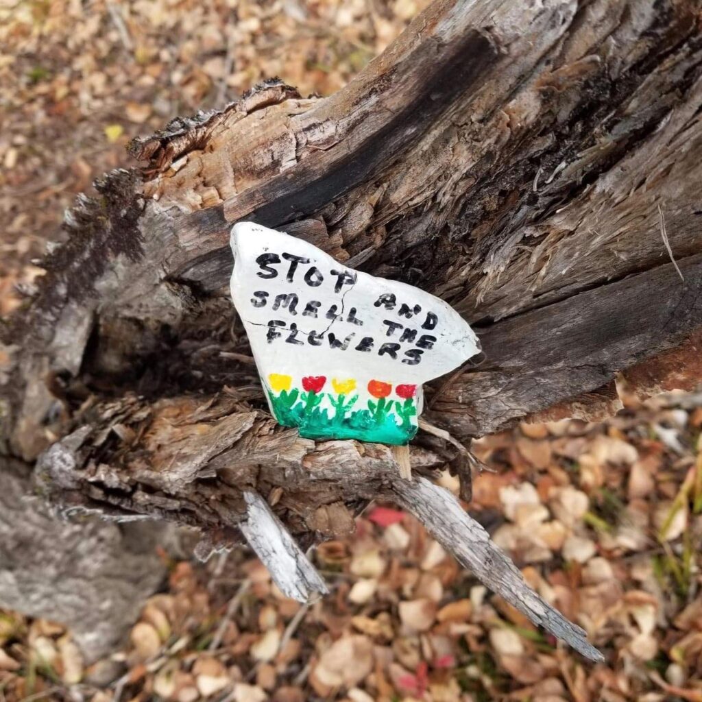 Source Instagram @stephmoreau77 https://www.instagram.com/p/CHVJCbcBnNt/?img_index=1