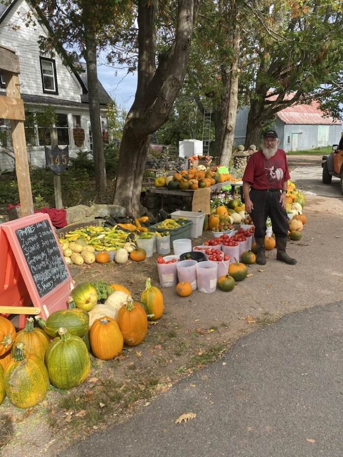 Summer savoury, tomatoes, pumpkins, a whole bunch of produce still available at the Thompson Farm, South Oxford!