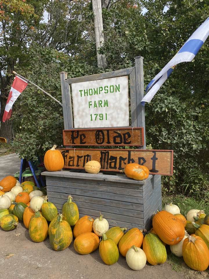 Summer savoury, tomatoes, pumpkins, a whole bunch of produce still available at the Thompson Farm, South Oxford!