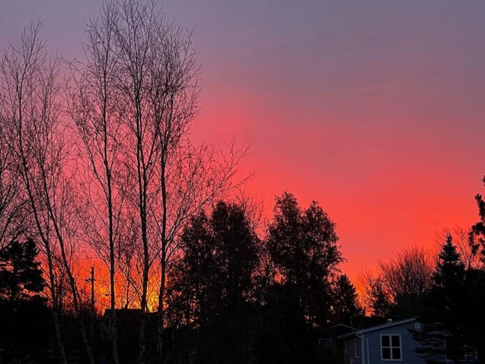 Source Instagram @chocolatepinkdaisy https://www.instagram.com/p/Cz8kUbLOEF_/