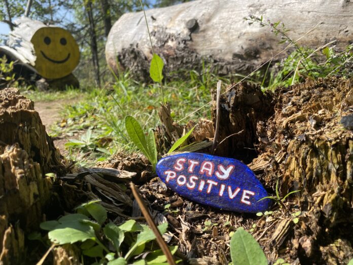 Bunny Trail - Stay Positive