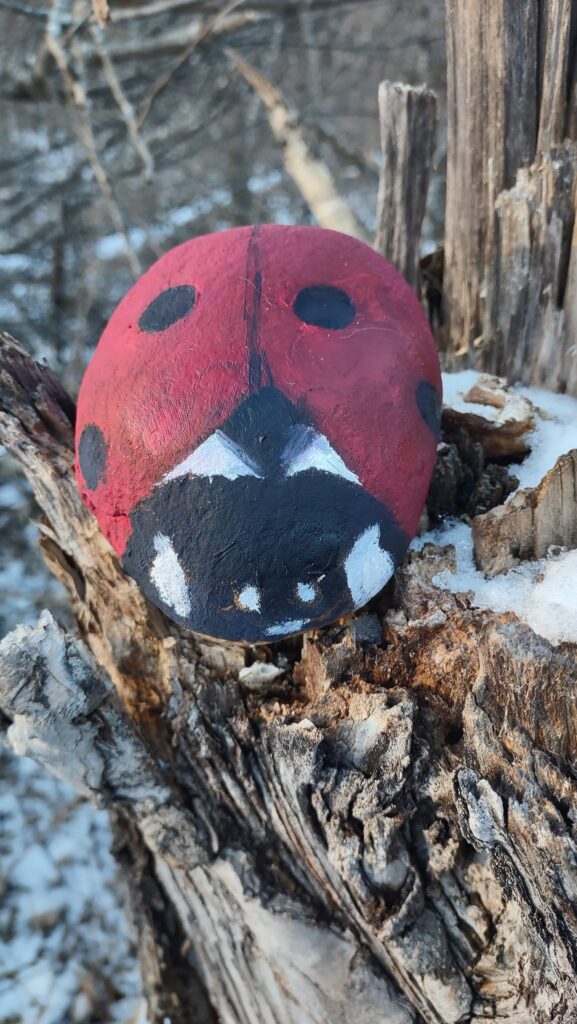 Ladybug