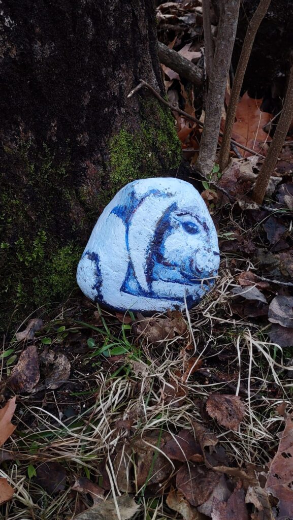 Rock bunny 1