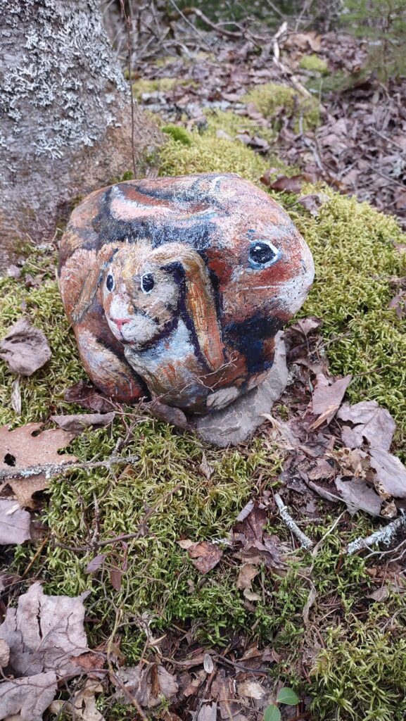 Rock bunny 4